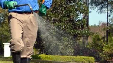 Unternehmen Exento GmbH Schädlingsbekämpfung