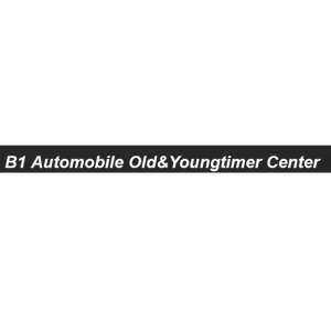 Firmenlogo von B1 Automobile Barntrup - KFZ Handel und Aufbereitung