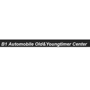 Firmenlogo von B1 Automobile Barntrup - KFZ Handel und Aufbereitung