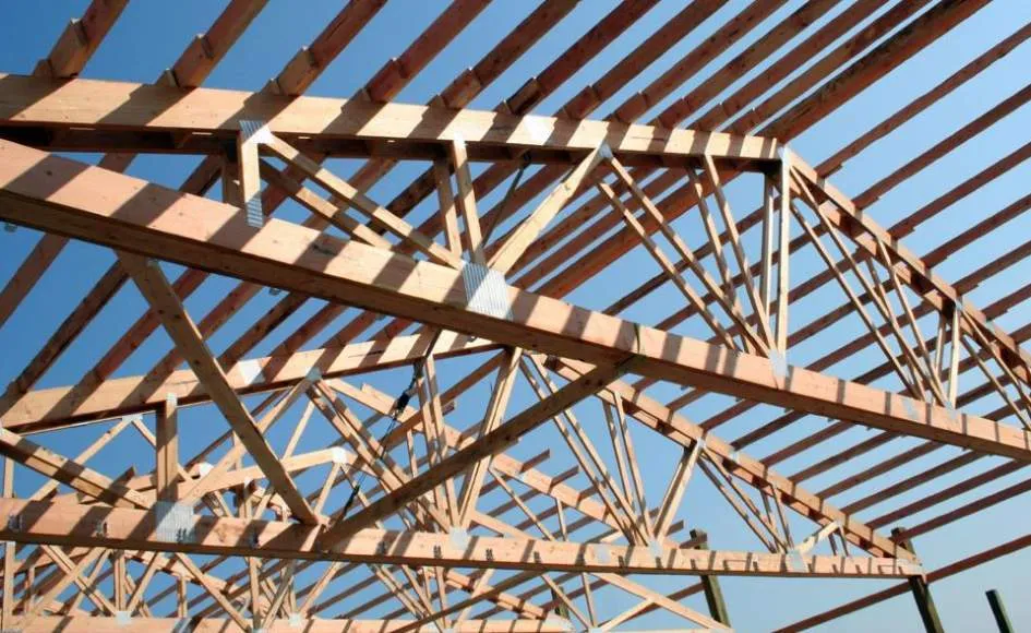 Galeriebild cropped_1744726854_0739797001744726839_790031.jpg