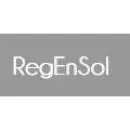 Firmenlogo von RegEnSol- Regenerative Energien und Solar