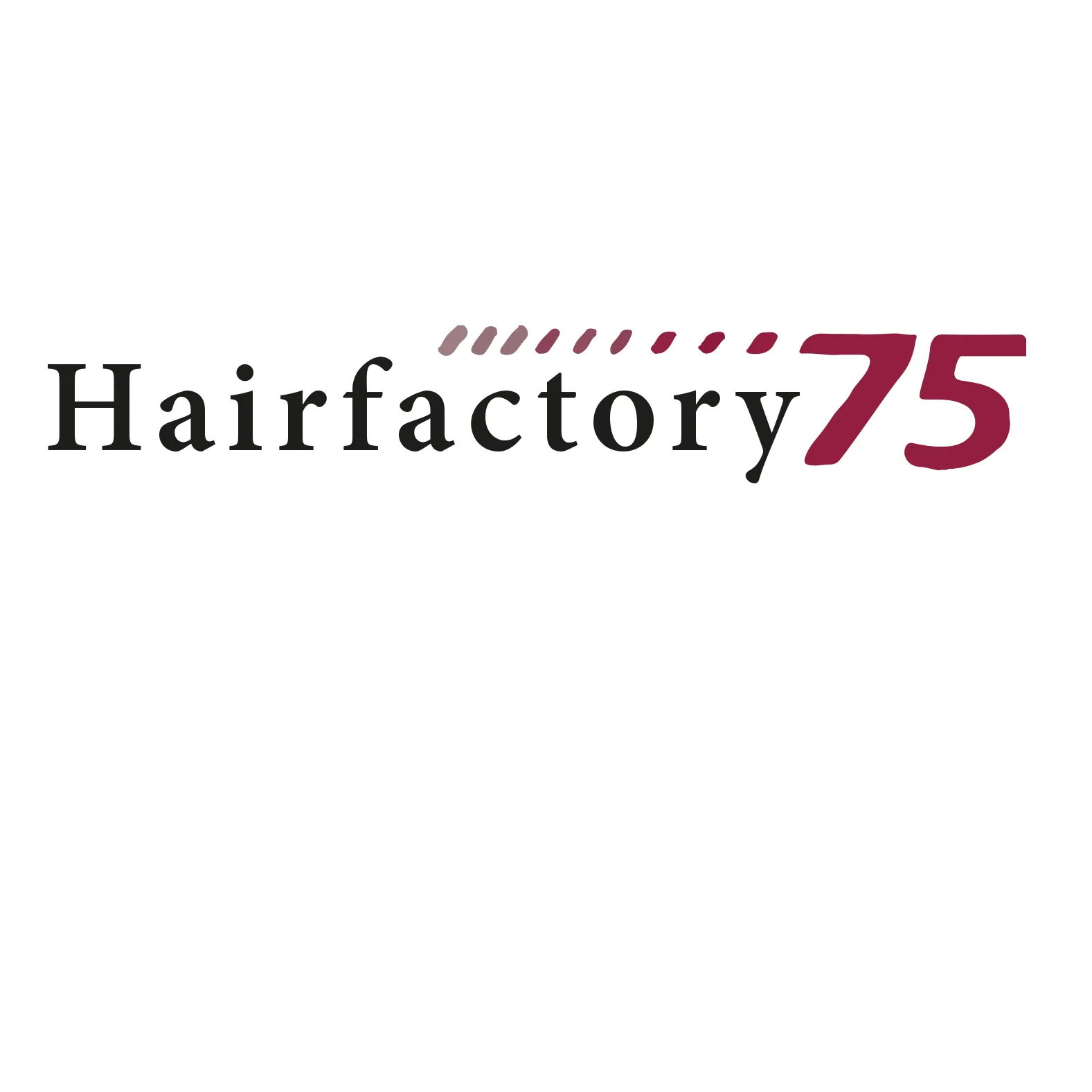 Unternehmen Hairfactory 75 - Silke Kremser