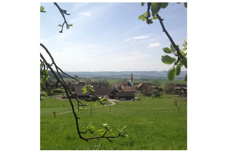 Galeriebild trotte-zum-goldenen-schuh-umgebung.jpg