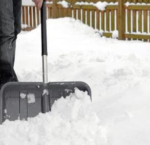 Galeriebild 0477003001750051087_790140.jpg