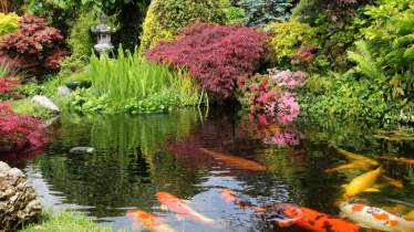 Unternehmen Edi-GaLaBau & Pflasterarbeiten