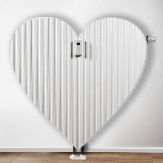 Galeriebild EYc0HaRexC.jpg