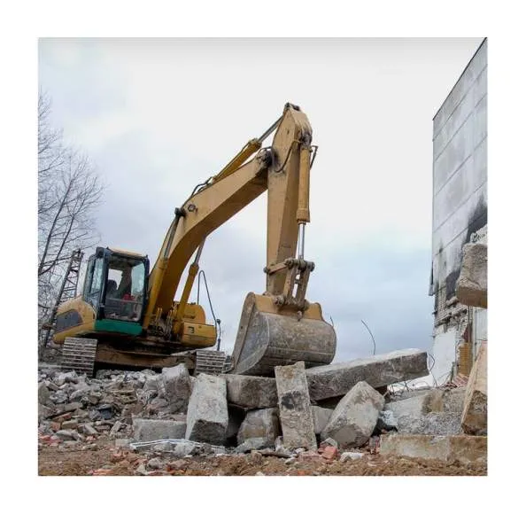 Galeriebild cropped_1753271145_0269780001753271139_790167.jpg