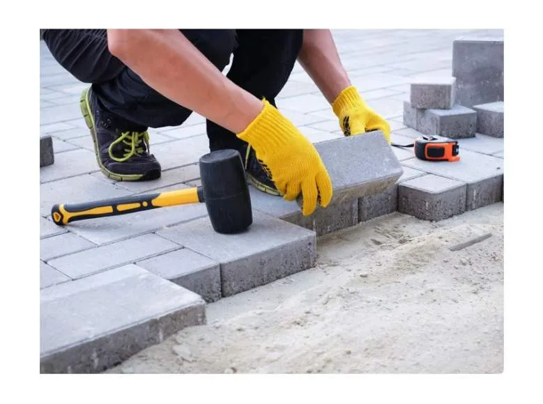 Galeriebild cropped_1753271163_0276539001753271139_790167.jpg