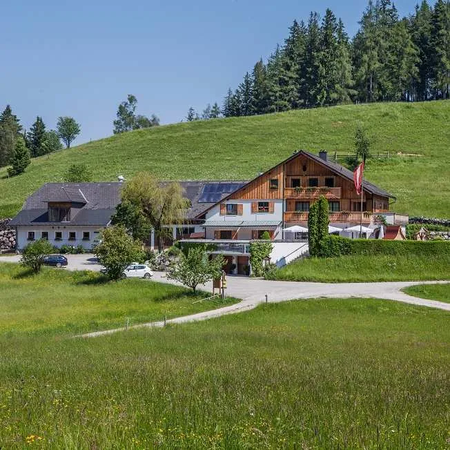 Unternehmen Almgasthof Windlegern***