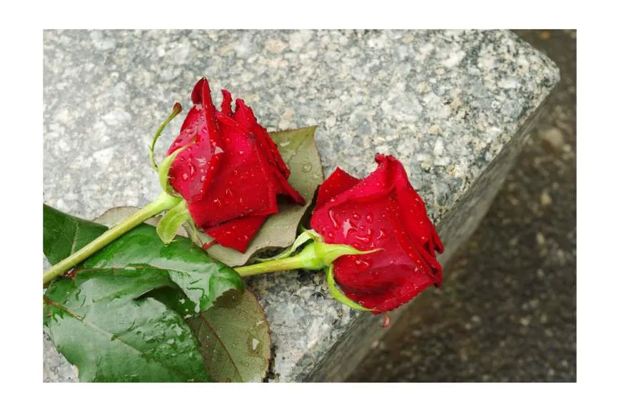 Galeriebild ehemann-bauunternehmen-gmbh-6.jpg