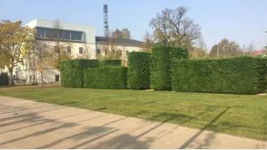 Unternehmen C & K Garten & Landschaftsbau GmbH