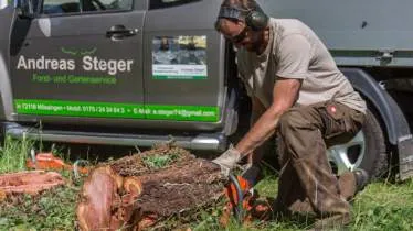 Andreas Steger - Forst und Gartenservice