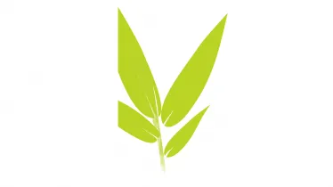 Unternehmen Galabau Elsesser