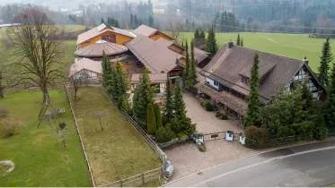 Unternehmen EMAJ Vollblut- Araber- Gestüt