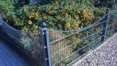 Unternehmen Reiner Barning GmbH Garten-, Landschafts- und Straßenbau