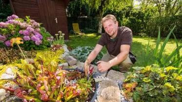 Unternehmen Gartengestaltung und -pflege Bernixtorf