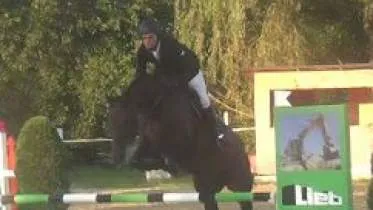 Unternehmen Ausbildungs-, Turnier- und Handelsstall - Inh. Alexander Kern