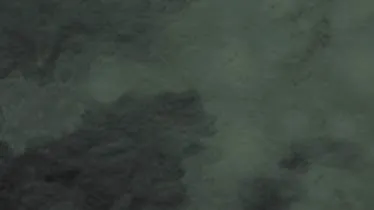 Unternehmen Lucky Lou Kimberly Berenbrink & Michael Gerold GbR