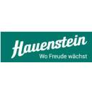 Firmenlogo von Hauenstein AG