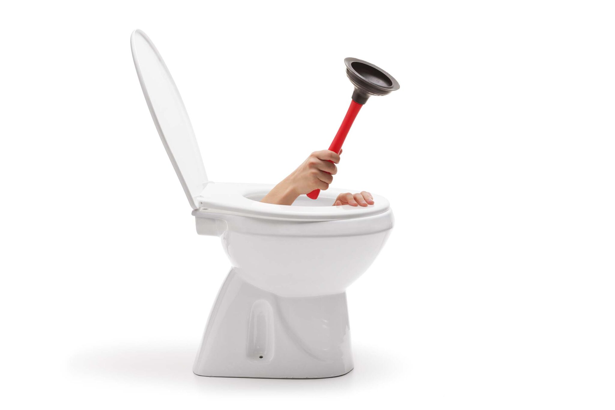 Galeriebild 0198202001748938135_790127.jpg