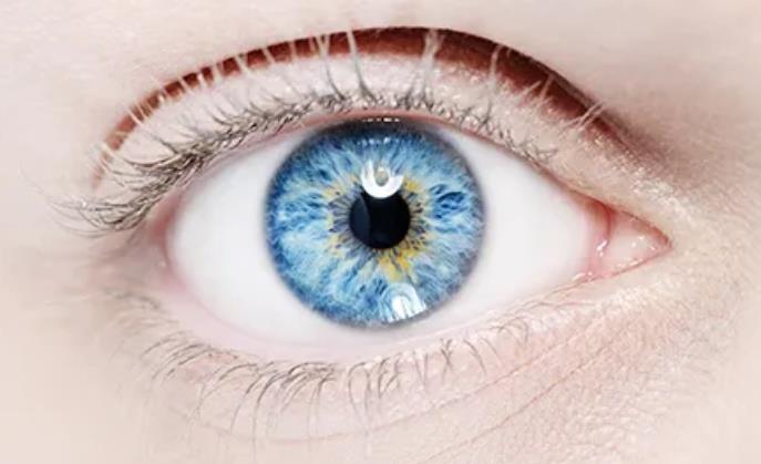 Galeriebild 0723071001745995049_790060.jpg