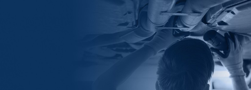 Galeriebild ump87BD0W6.jpg