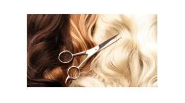 Unternehmen Coiffeur House of Art