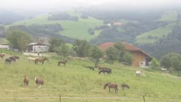 Unternehmen Reeslehof