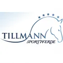 Firmenlogo von Tillmann Sportpferde - Frederic Tillmann