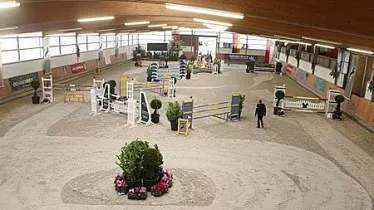 Unternehmen Tillmann Sportpferde - - Inh. Frederic Tillmann