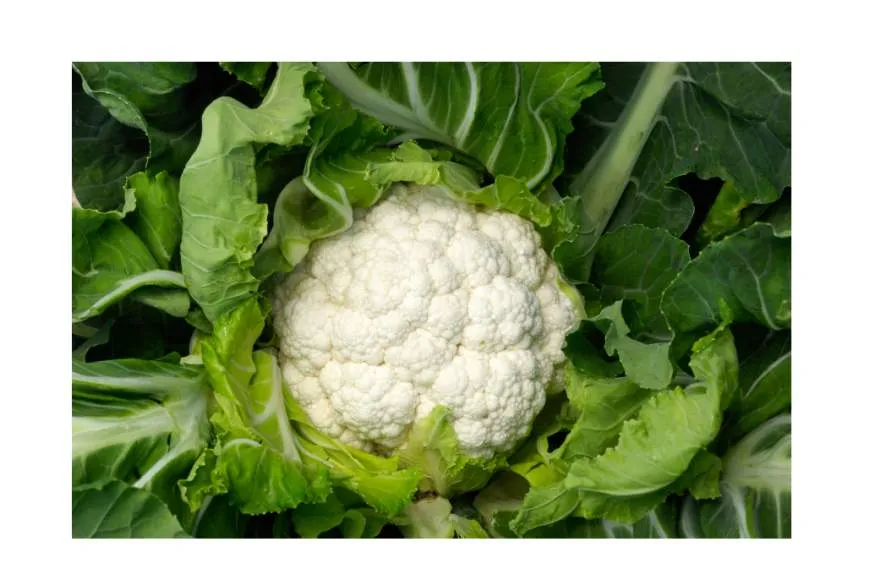 Galeriebild erdbeerschwarz-blumenkohl.jpg