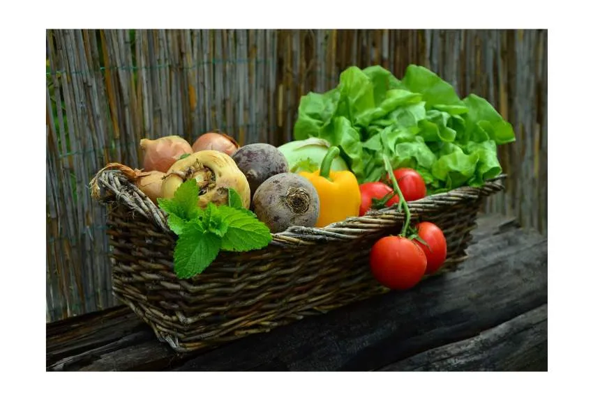 Galeriebild erdbeerschwarz-gemuesekorb.jpg