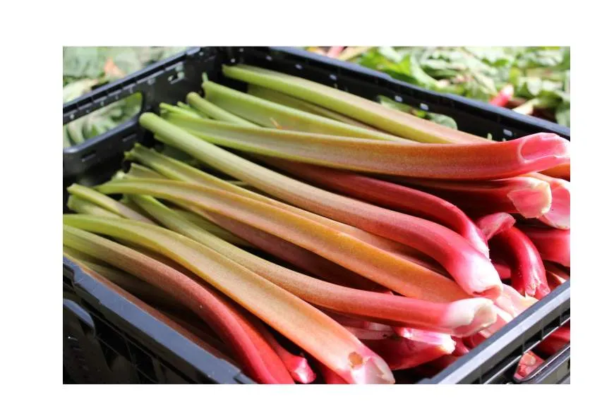 Galeriebild erdbeerschwarz-rhabarber.jpg