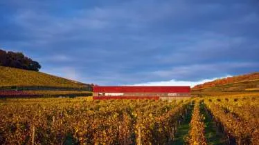 Unternehmen Abril Weine GmbH & Co KG