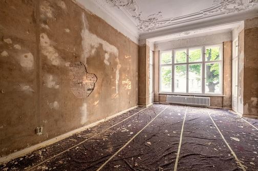 Galeriebild 0706507001760618007_790228.jpg