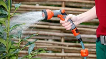 Unternehmen NaturEffekt Zyche - Garten & Landschaftsbau