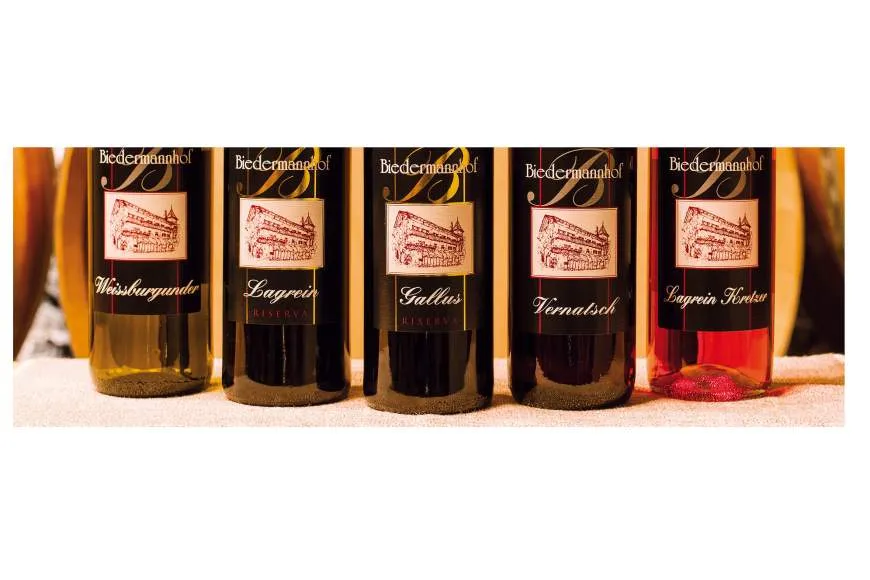 Galeriebild biedermannhof-4.jpg