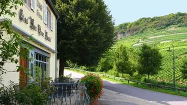 Unternehmen Weingut Clos Mon Vieux Moulin