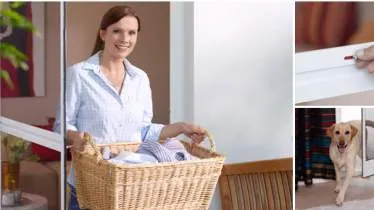 Unternehmen Rent Mückenmeister - Gerd Rentmeister