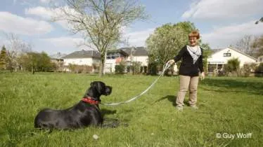 Unternehmen Hundeschule Kynos