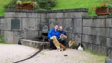 Unternehmen Shelties vom Samt & Seidenweber Inh.: Roswitha Dierig