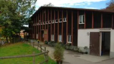 Unternehmen Dressur - Springen - Ausbildung - Lotti Kunz - Eidg. diplomierte Reitlehrerin