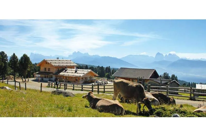 Galeriebild mair-in-plun-huette-aussblick.jpg