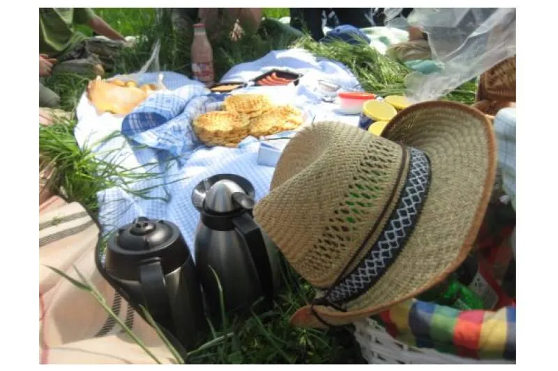 Galeriebild ferienhof-junkergrund-karin-thiel-horstmann-6.jpg