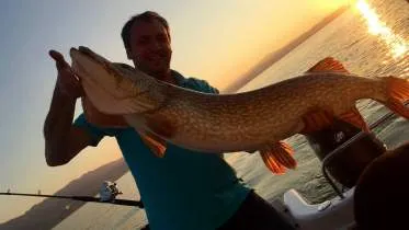 Unternehmen RaidBait Angelcenter Bodensee