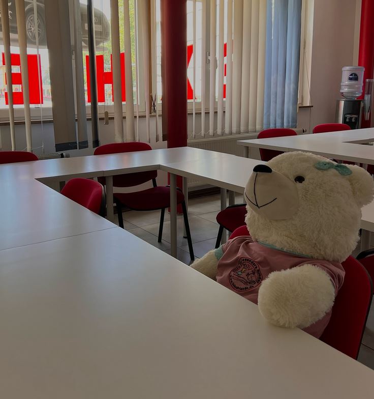 Galeriebild 0390230001763120905_790271.JPG