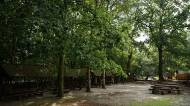 Unternehmen Ausflugsgaststätte Waldmax