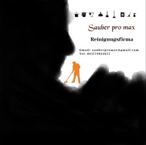 Firmenlogo von Sauber Pro Max