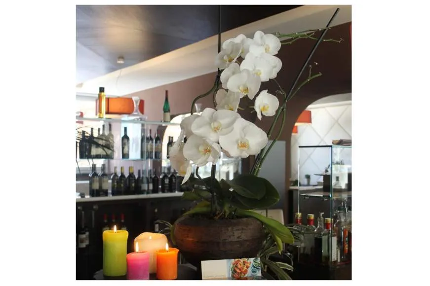 Galeriebild cappuccino-caffe-restaurant-orchidee.JPG