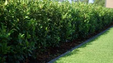 Unternehmen Leo Bauer - Gartengestaltung und Keramische Oberflächen